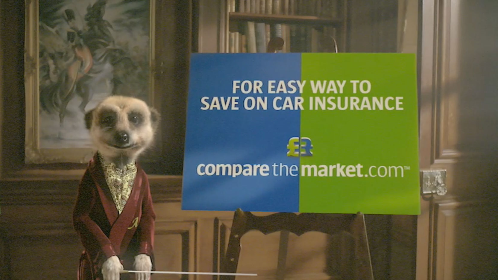 Compare The Meerkat